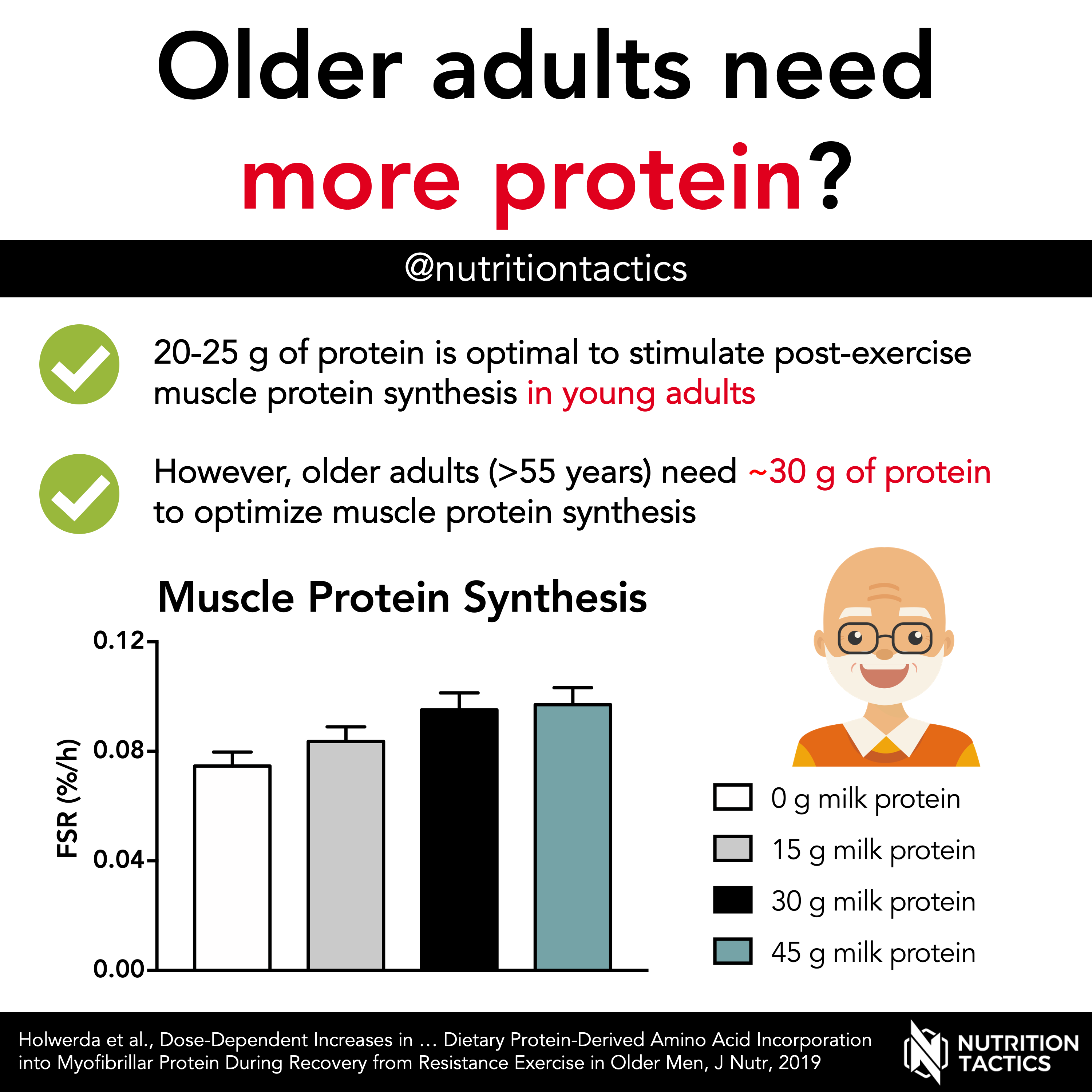 protein nutrition older adults