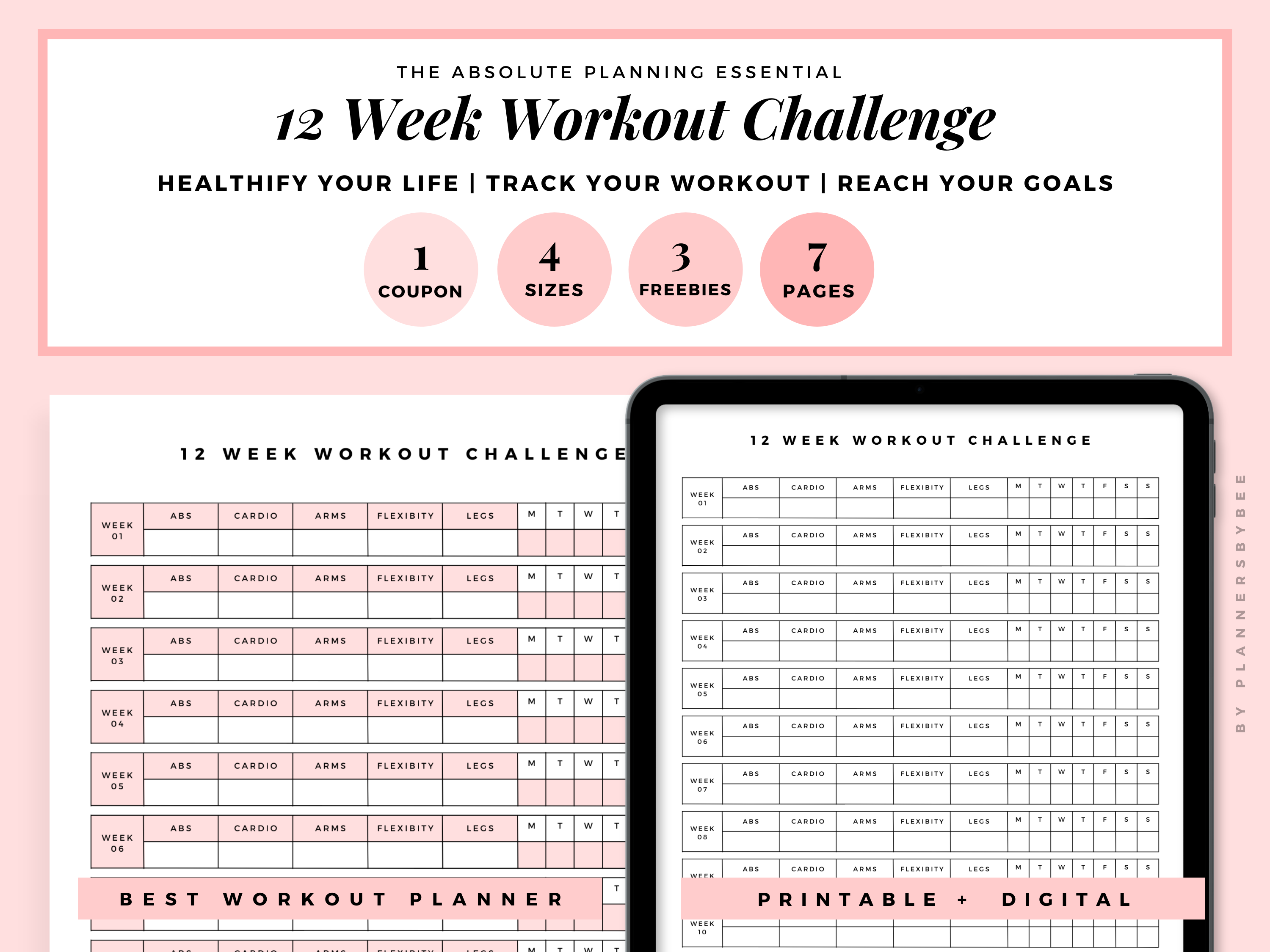 12 week workout progression