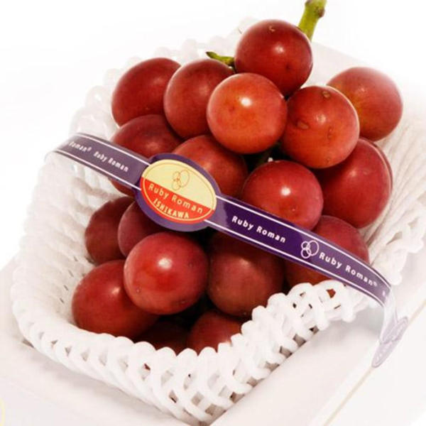 Ruby Roman table grapes