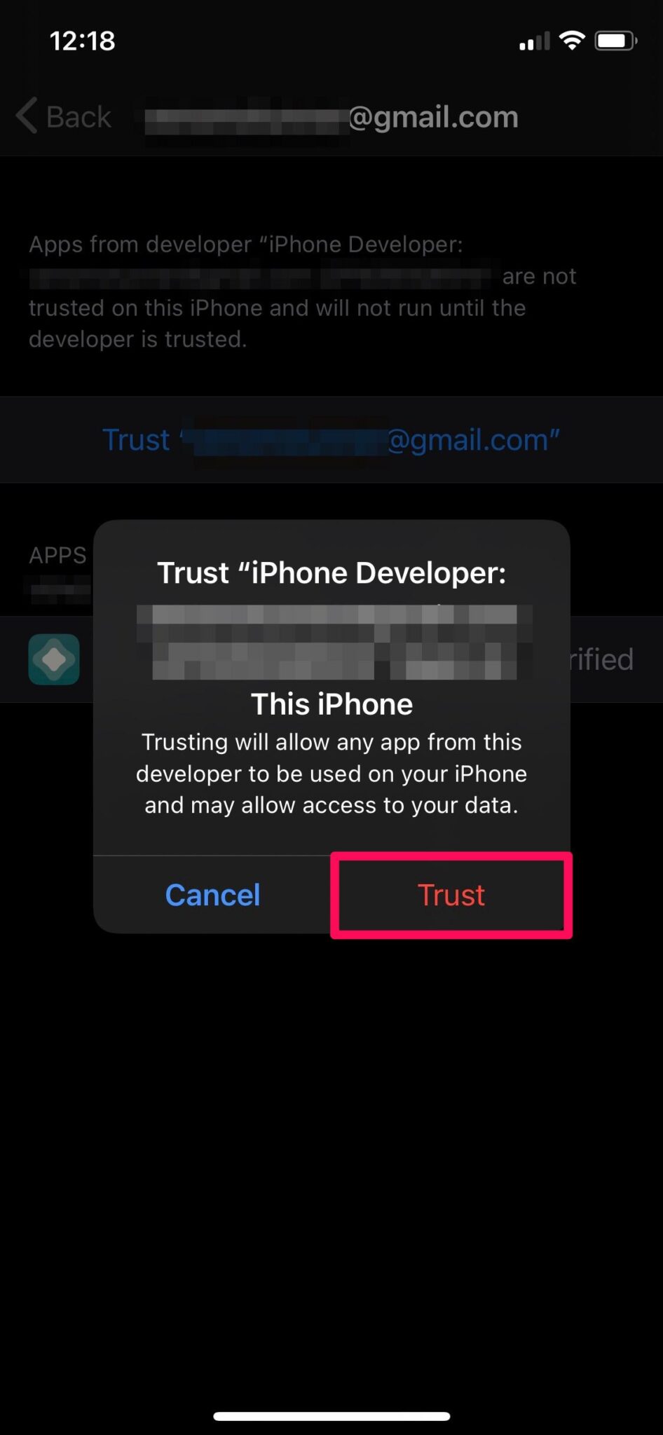 Trust the developer iPhone