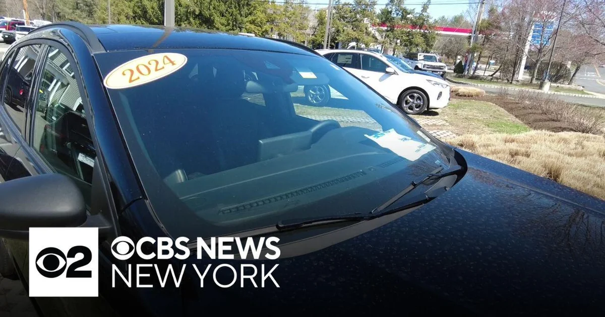 U.S. auto dealership panic