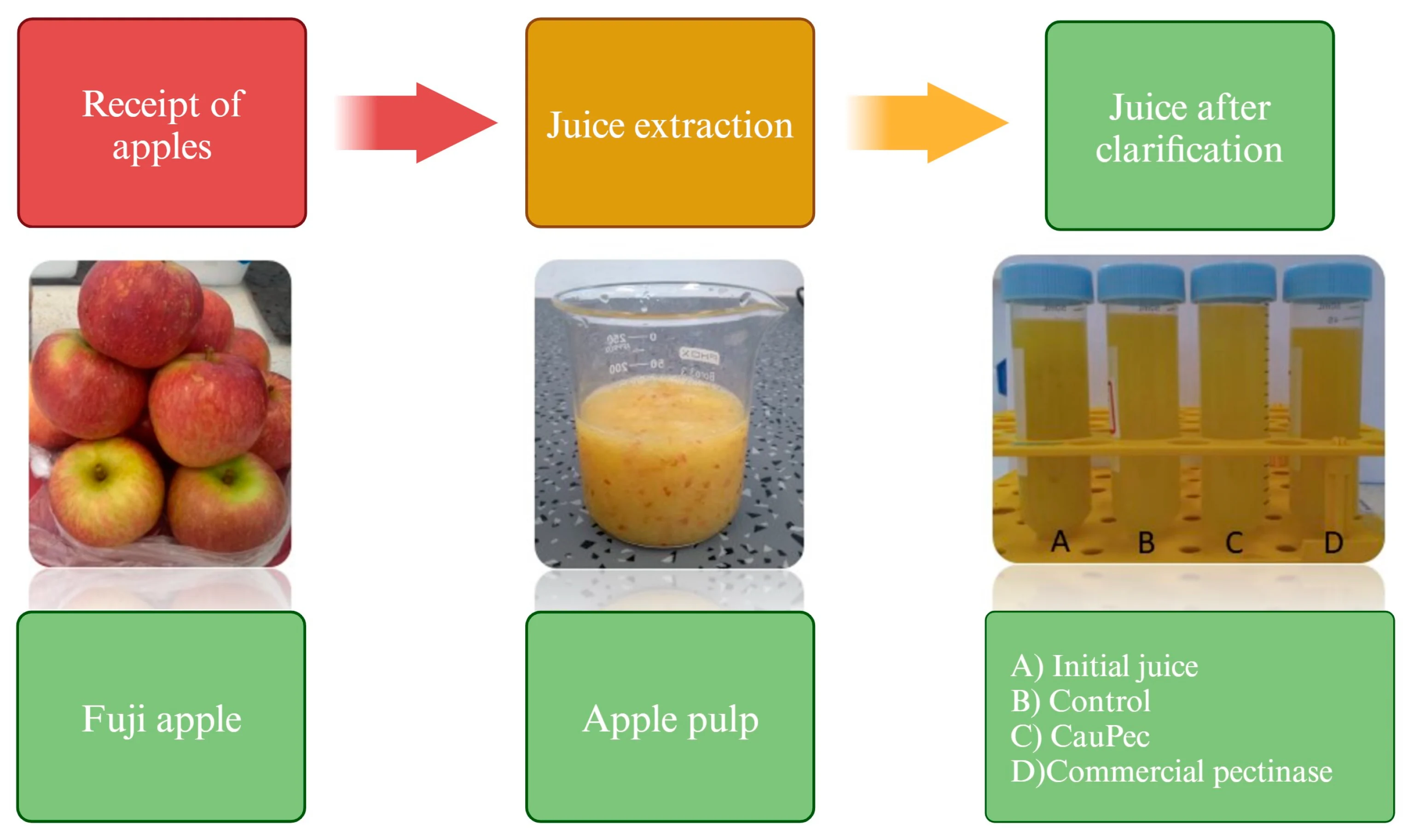 What's That Floating in My Apple Juice? A Guide to Particles & Safety