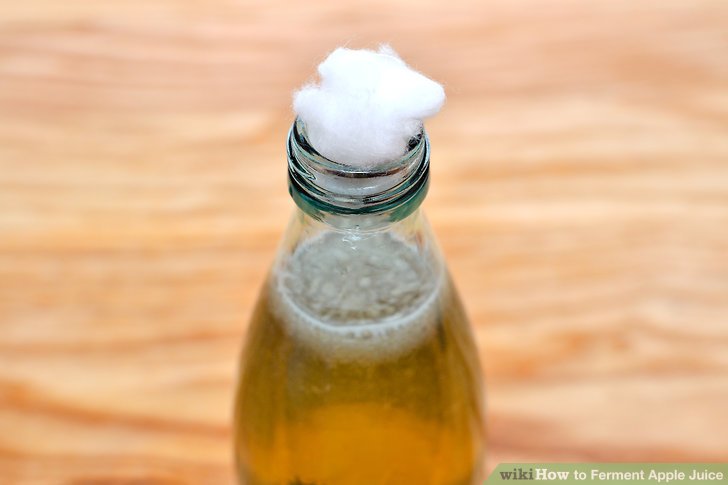 Yeast fermentation in apple juice