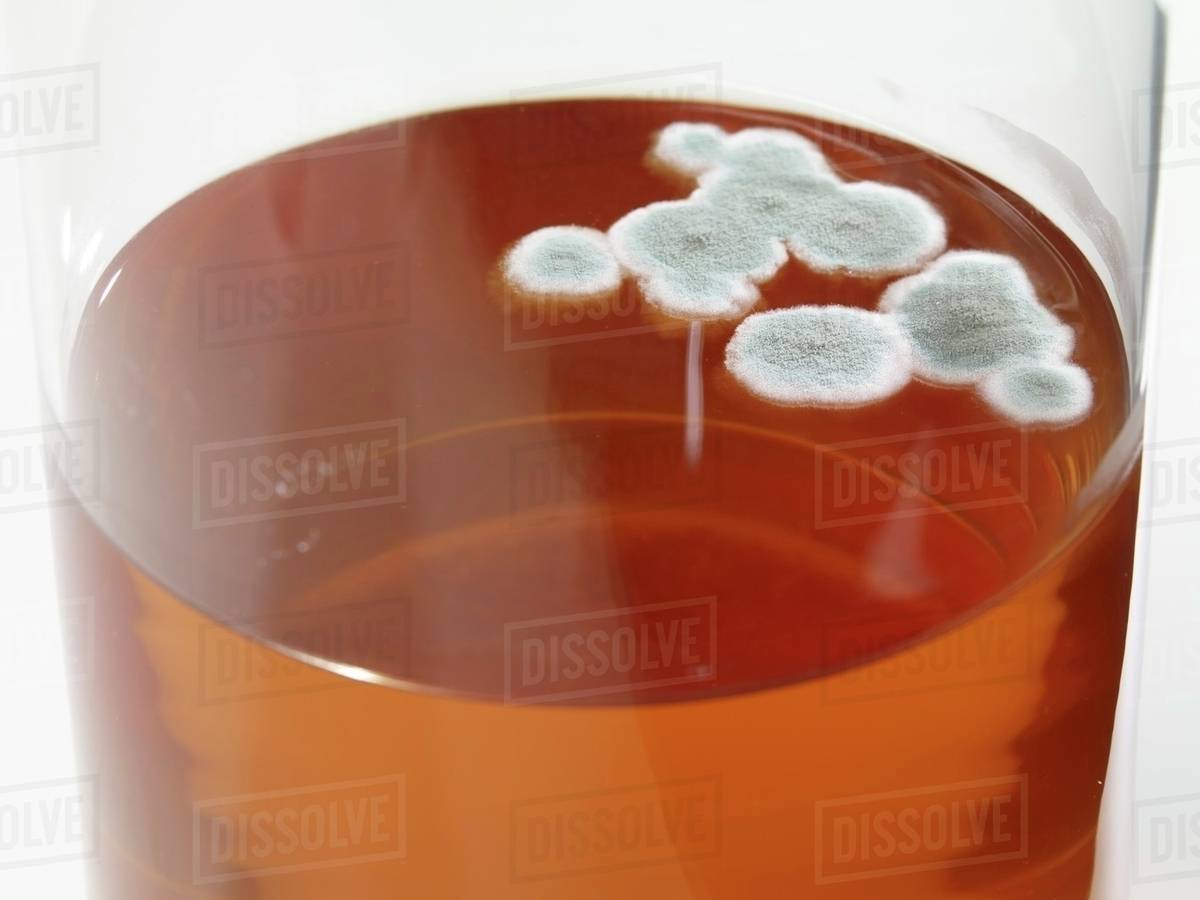 Mold in apple juice