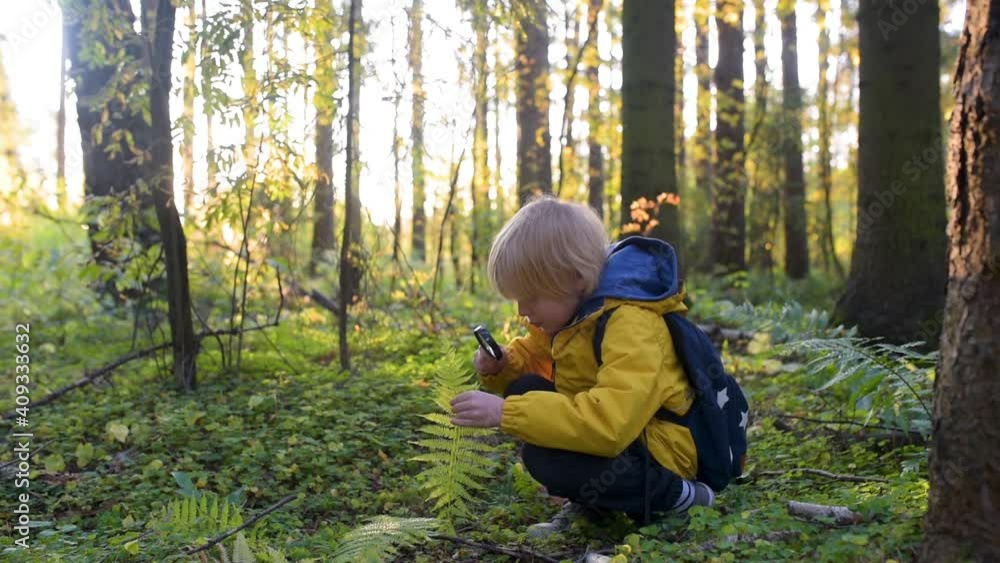 exploring nature with child