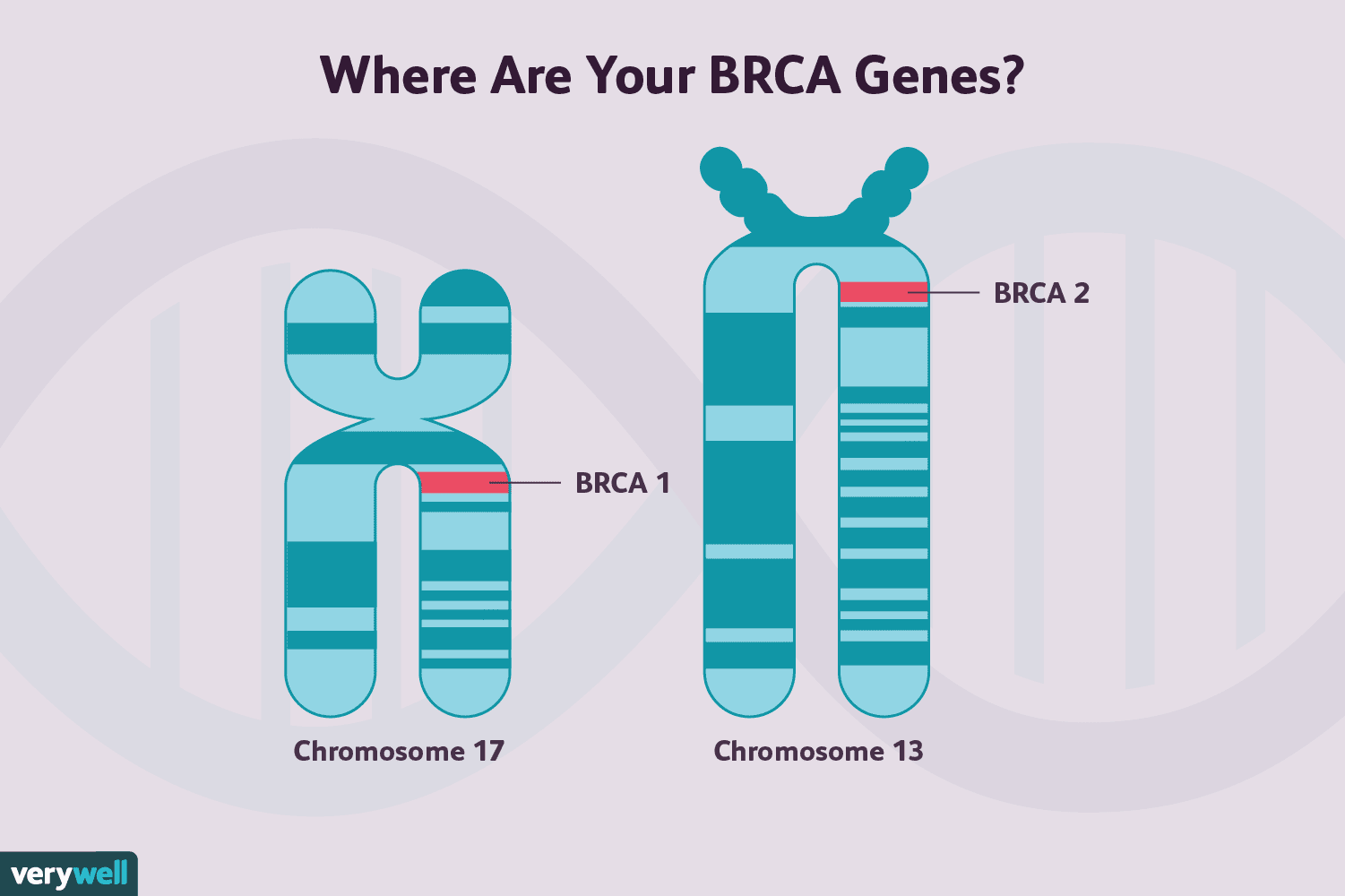 BRCA gene mutation illustration