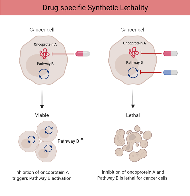 Synthetic lethality mechanism