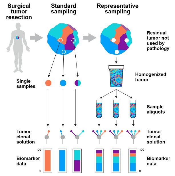Genomic testing cancer diagnosis