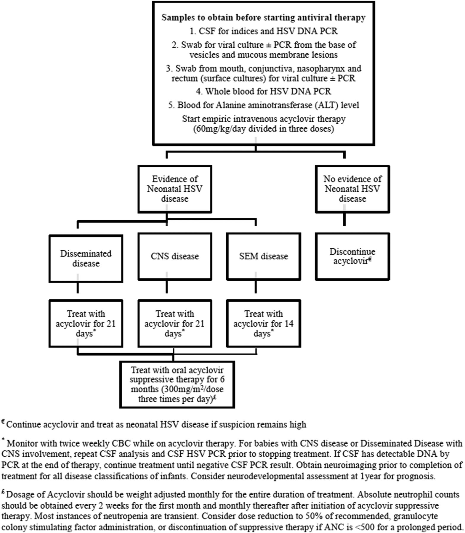 When a Kiss Causes Brain Injury: Preventing Neonatal HSV Encephalitis