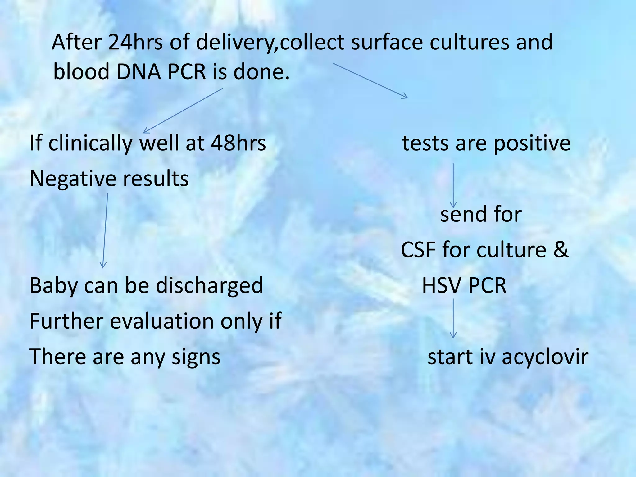 HSV PCR testing newborn