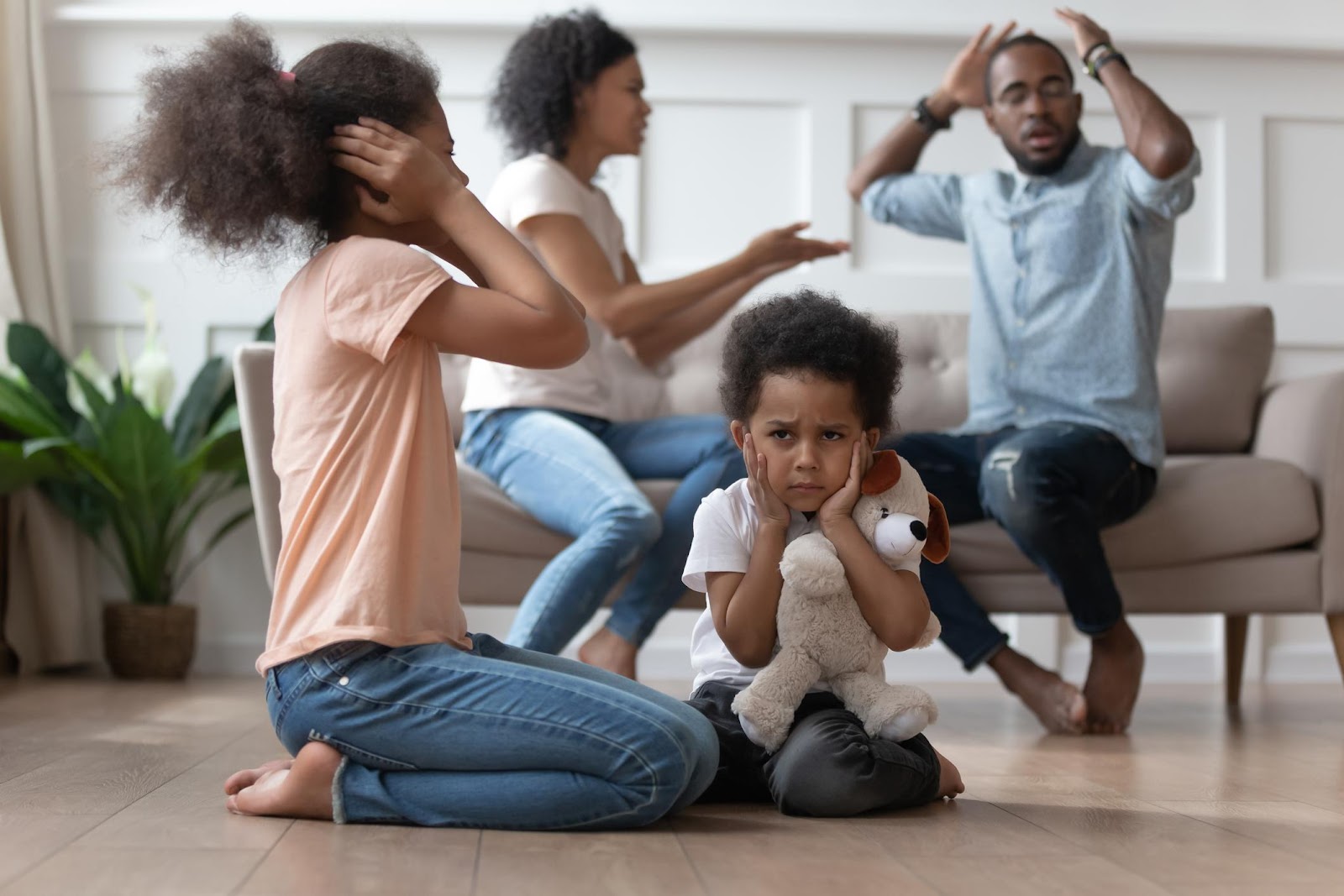 family conflict over collectibles
