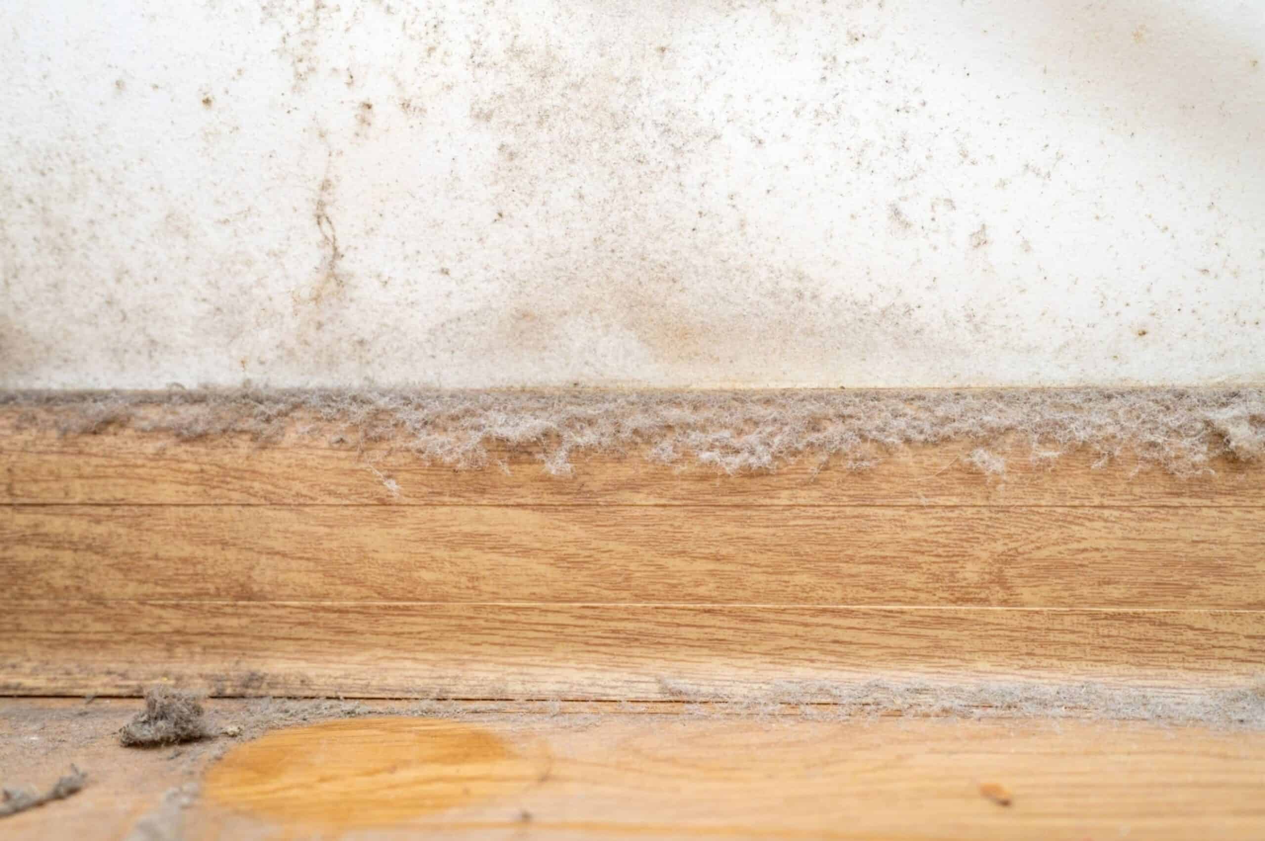 baseboard dust deposition pattern