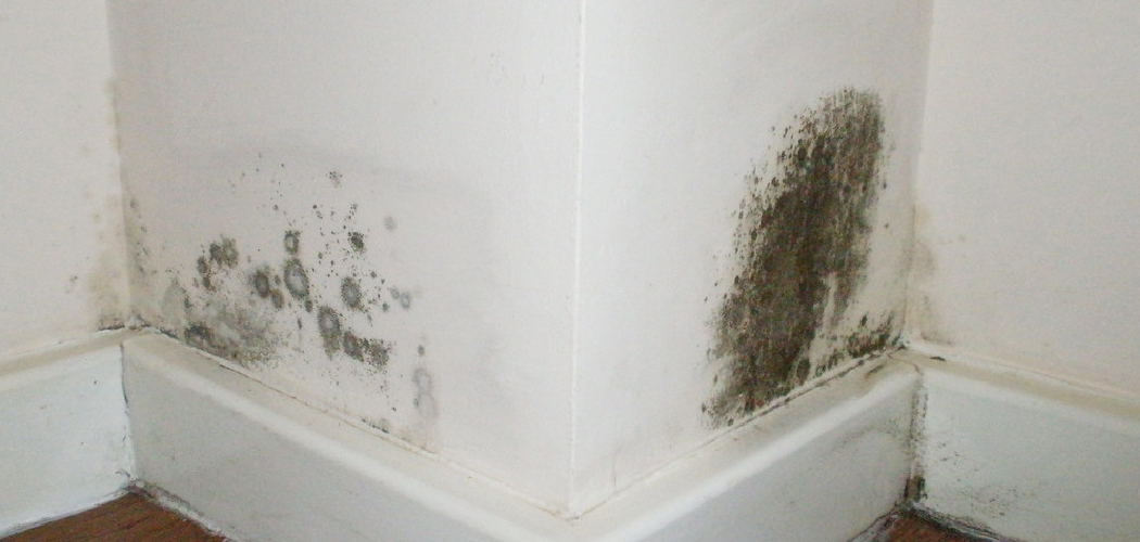 condensation ring on wall