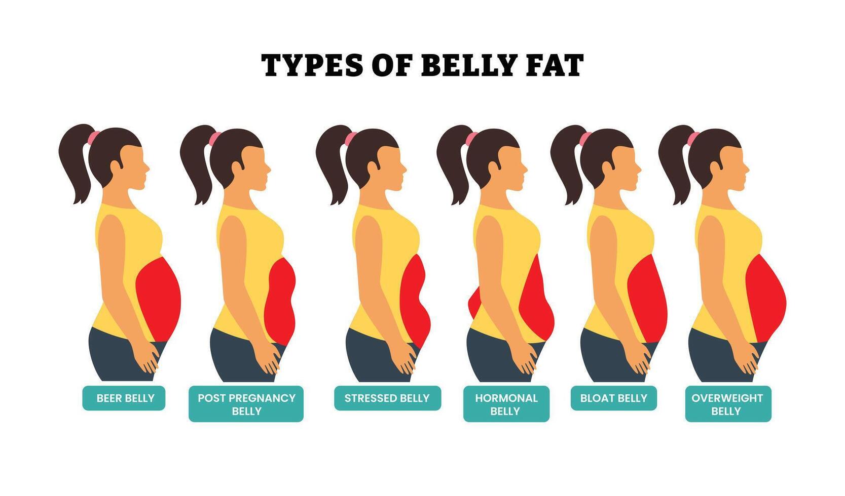 Why Belly Fat Increases With Age — What Scientists Found