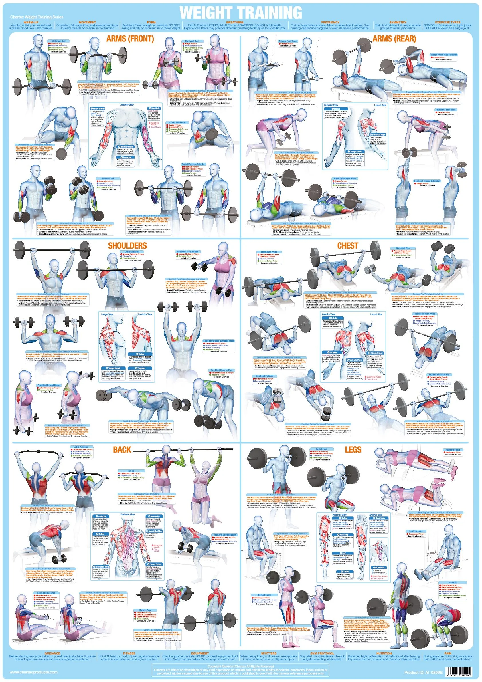 strength training exercises
