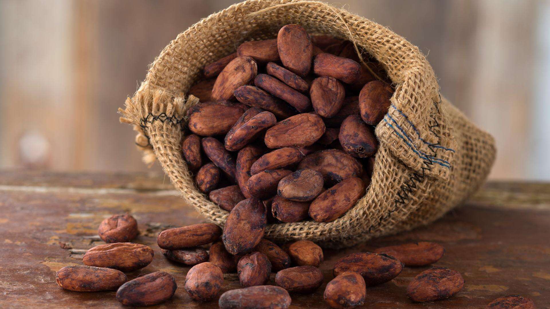 cocoa beans