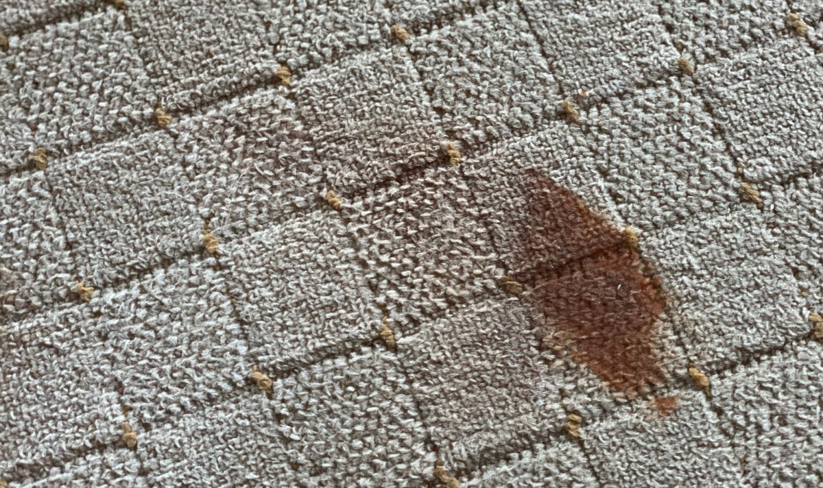patterned carpet stain concealment