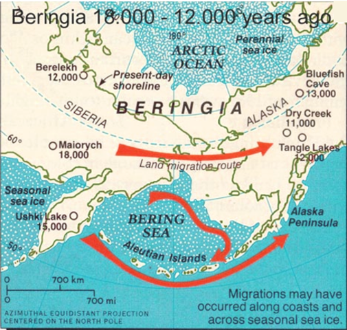 Beringia migration history