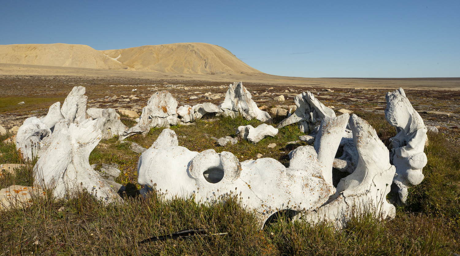 Thule culture Arctic