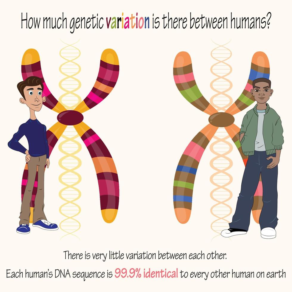 Human variation genetics ancestry