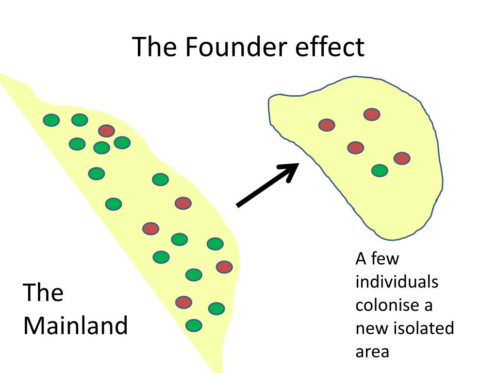 Founder effects Arctic migration