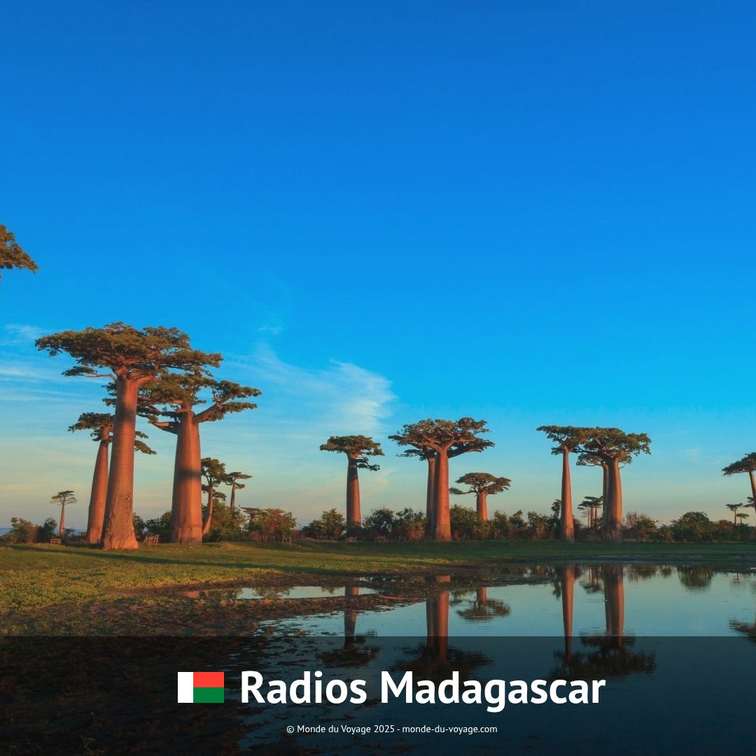 Madagascar voyage technology