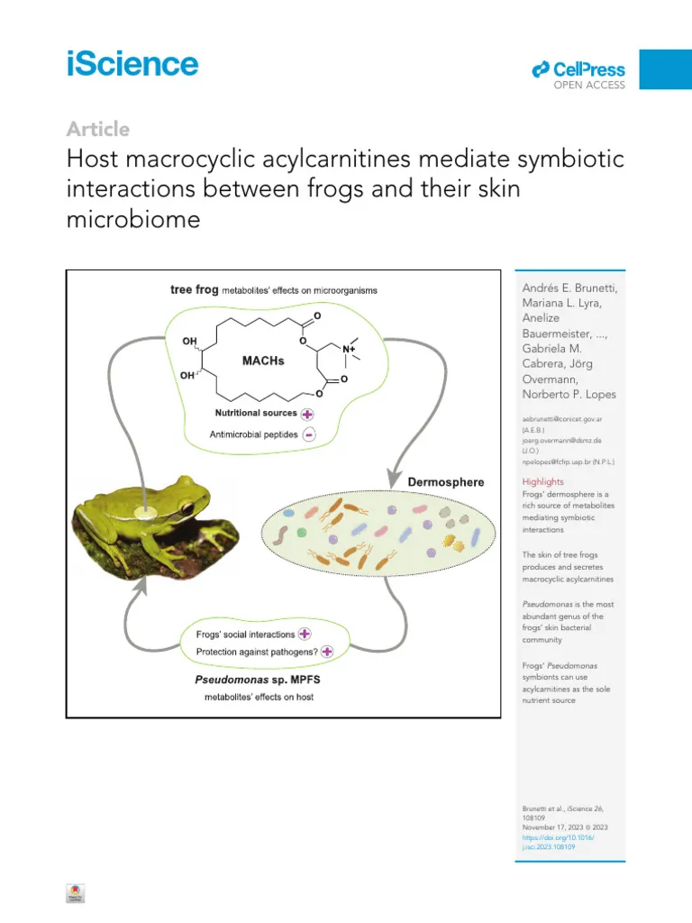 frog skin microbiome bacteria