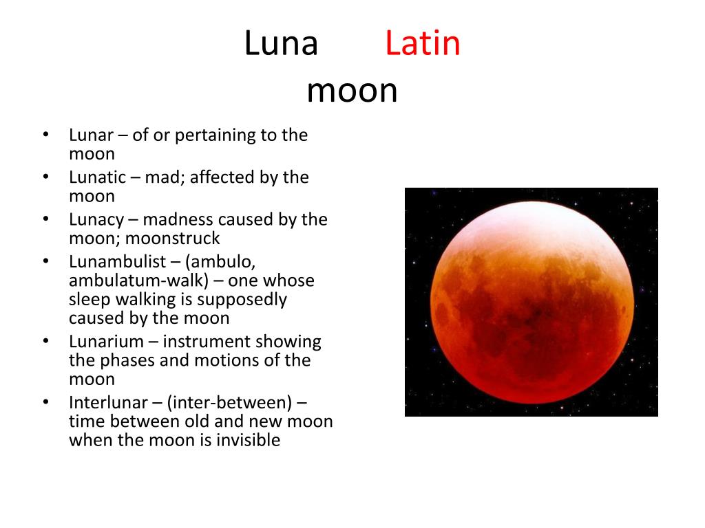 Latin Luna moon