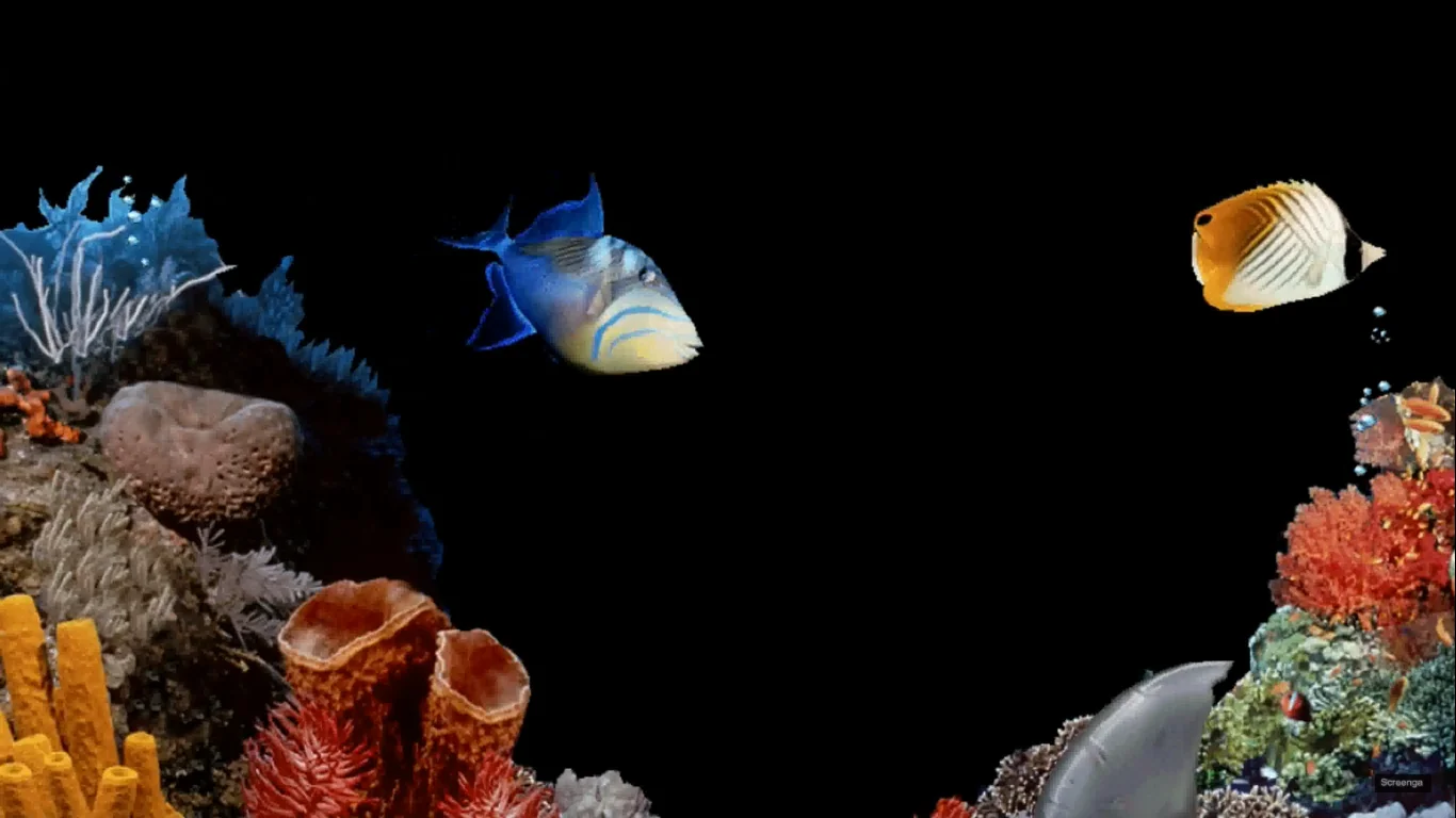 Windows 98 underwater screensaver
