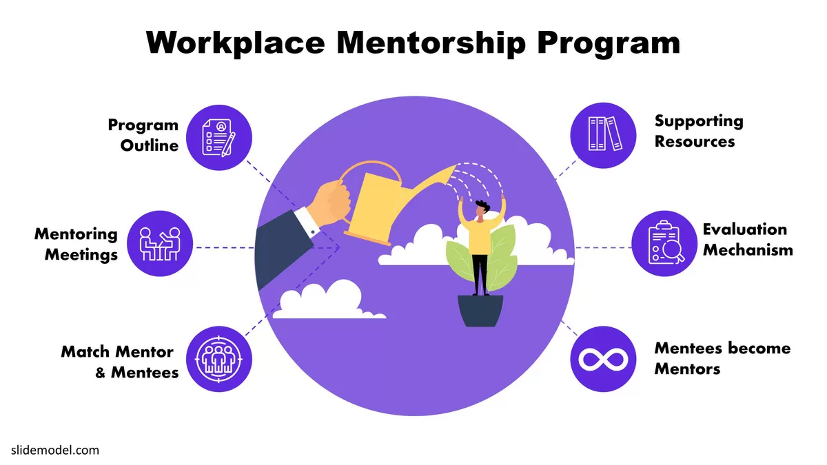 mentorship professional guidance
