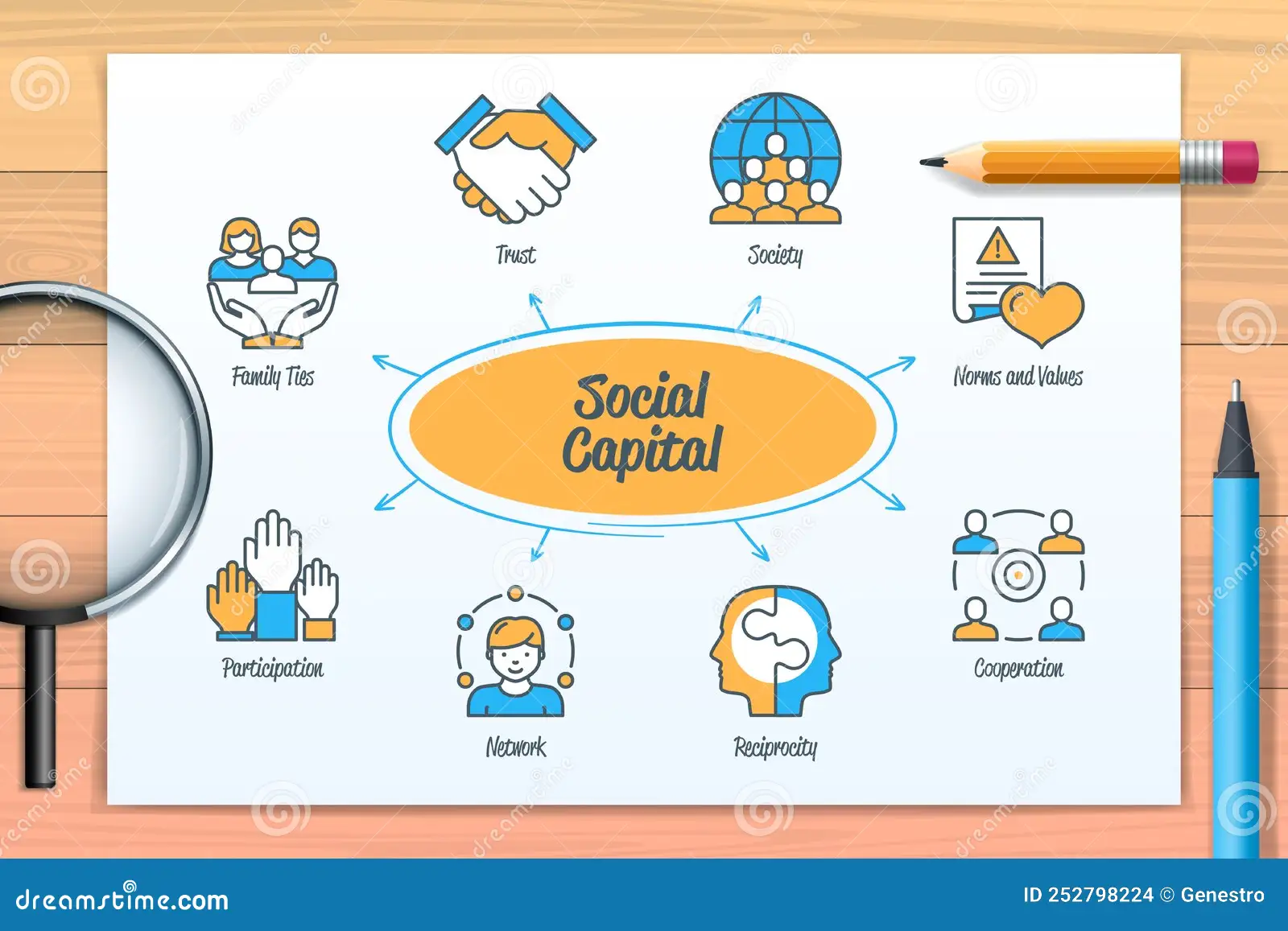 social capital networks